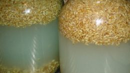 Брага из пшеницы для самогона